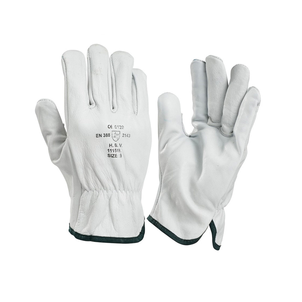 HBV Handschoenen 111519 nerfleder wit