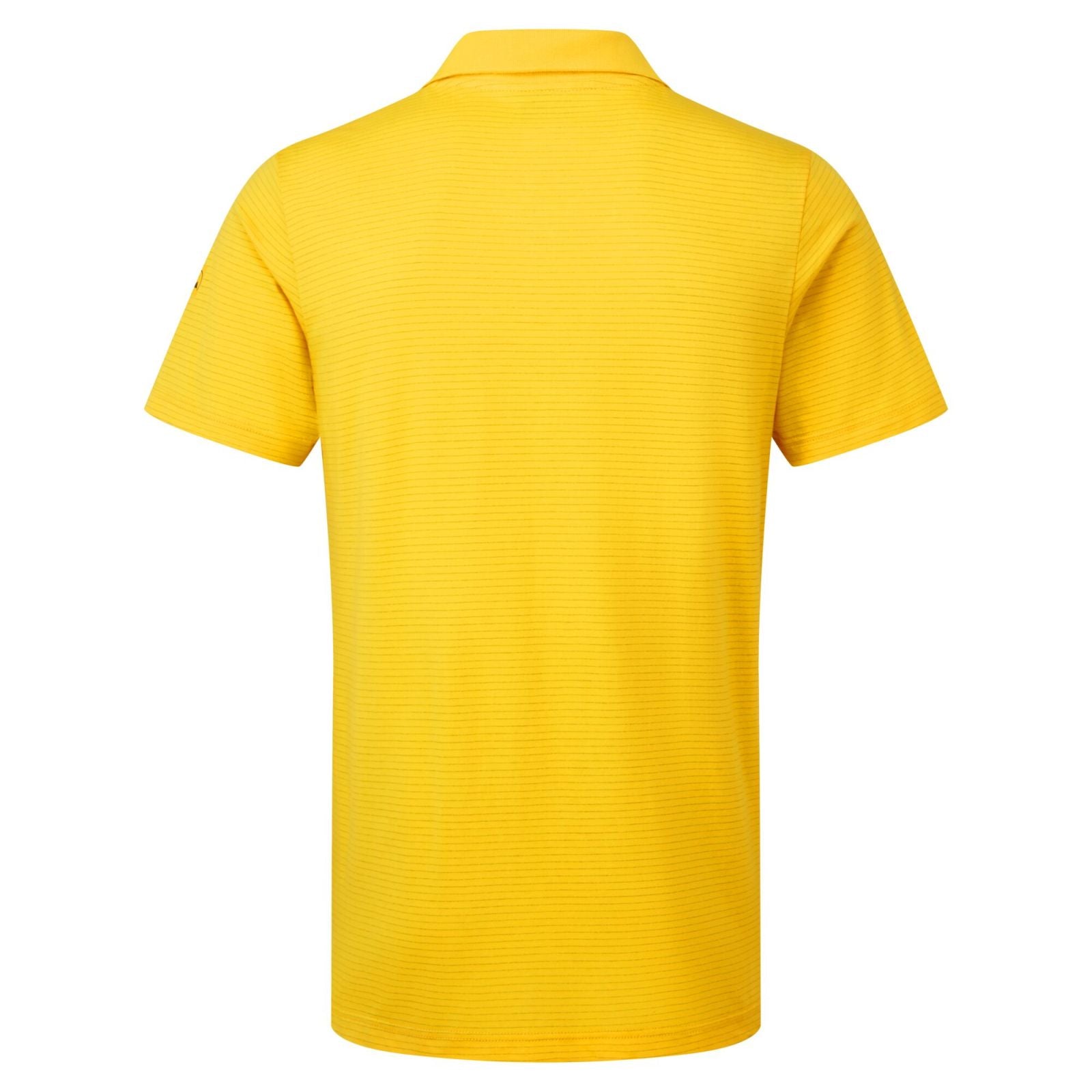 Portwest Werkkleding ESD-beschermende kleding Poloshirts AS21 antistatisch ESD diep geel(YE)