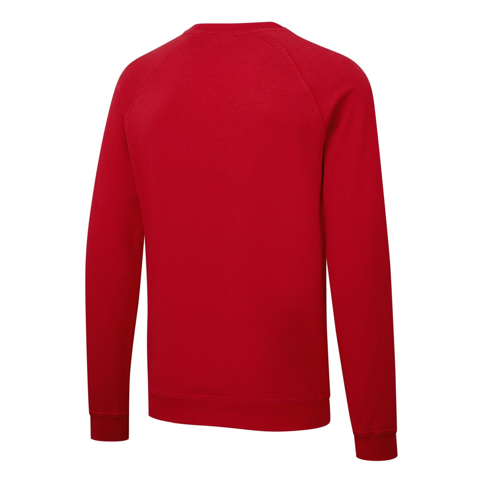 Portwest Werkkleding ESD-beschermende kleding Sweatshirt AS24 antistatisch ESD diep rood(DR)