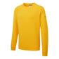 Portwest Werkkleding ESD-beschermende kleding Sweatshirt AS24 antistatisch ESD diep geel(YE)