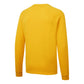 Portwest Werkkleding ESD-beschermende kleding Sweatshirt AS24 antistatisch ESD diep geel(YE)