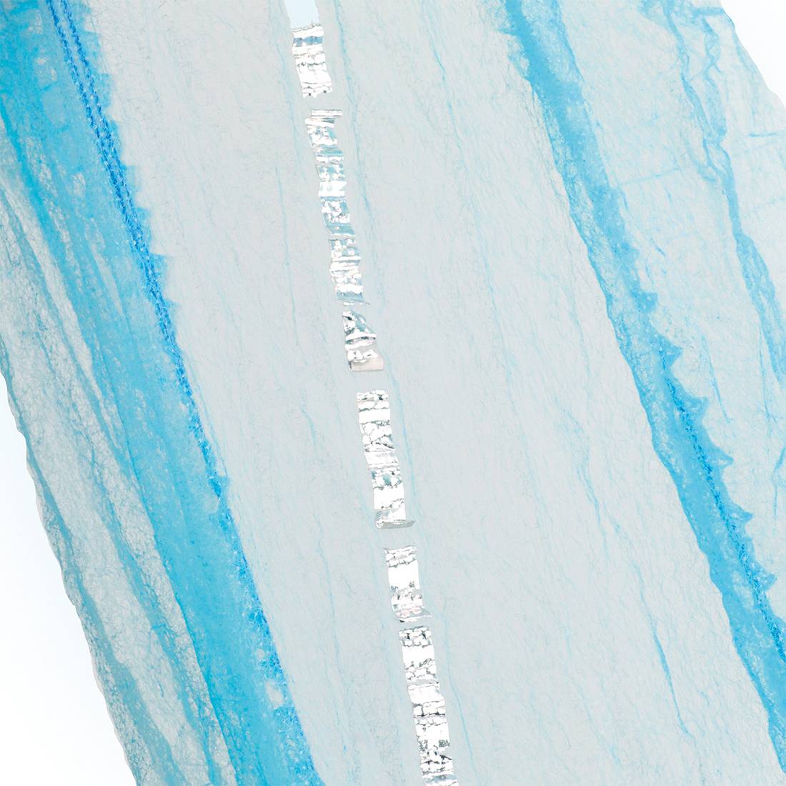 Portwest Werkkleding Disposables Haarnet D102 metaal detectie (2800Pk) blauw(BL)