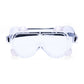 Portwest Brillen PW21 blank(CL)