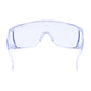 Portwest PW3 Brillen PW30 blank(CL)